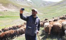 Fenomen çobanın göç yolculuğu