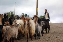 'Köylü kızı Nurgül'ün takipçi sayısı 100 bine yaklaştı