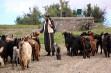 'Köylü kızı Nurgül'ün takipçi sayısı 100 bine yaklaştı