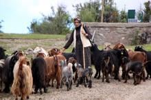 'Köylü kızı Nurgül'ün takipçi sayısı 100 bine yaklaştı