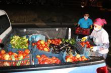 'Topraktan Tabağa' projesi, hem toprağı onarıyor hem de istihdam sağlıyor