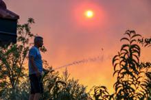 Manavgat'ta 4 noktada orman yangını