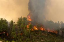 Manavgat'taki büyük yangın 6'ncı gününde