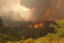 Manavgat'taki büyük yangın 6'ncı gününde