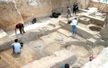 Zeytinin binlerce yıllık yolculuğu gün yüzüne çıkıyor