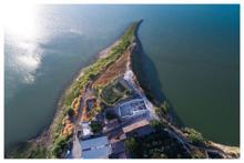 Zeytinin binlerce yıllık yolculuğu gün yüzüne çıkıyor