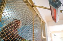 Hayvanat bahçelerinde kış mesaisi