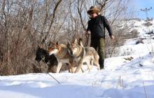 Özel yetiştirdiği kurtlarıyla dağlarda geziyor