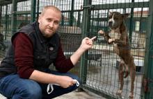 Edirne'nin 'yasaklı ırk köpekleri' ömür boyu barınak mahkumu