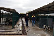 Edirne'nin 'yasaklı ırk köpekleri' ömür boyu barınak mahkumu