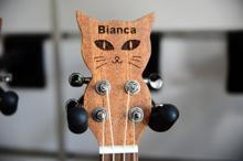 Kaybolan kedisinin anısına özel tasarımlı ukulele üretti
