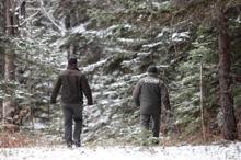 Yılbaşı öncesi kaçak çam ağacı kesimine sıkı denetim