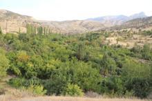 Cudi Dağı'nın eteklerinde bahçeler yeniden yeşerdi