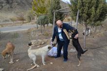 Mobilya ustası, 60 kilometre gidip, 30 köpeği gönüllü besliyor