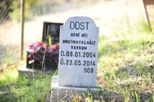 Evcil hayvan mezarlığında duygulandıran yazılar