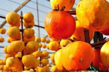 Çöpe atmayıp kuruttuÄŸu cennet hurmasıyla 5 yılda ihracata baÅŸladı