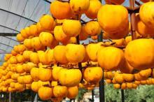 Çöpe atmayıp kuruttuÄŸu cennet hurmasıyla 5 yılda ihracata baÅŸladı