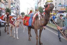 Diyarbakır'daki karpuz festivalinden renkli görüntüler