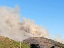 Antalya'da orman yangını