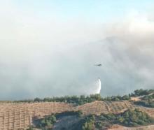 Akhisar'daki yangın 4'üncü gününde; Kula ve Ahmetli de alevlere teslim