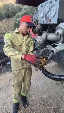 İzmir'deki orman yangını 3'üncü gününde