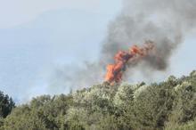 İzmir'deki orman yangını 2'nci gününde