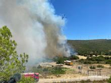 İzmir'deki orman yangını 2'nci gününde