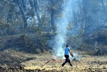 Tekirdağ'daki orman yangını 2'nci gününde