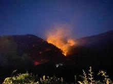 Karabük'te orman yangını