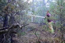Eskişehir’de orman yangını