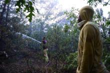 Eskişehir’de orman yangını