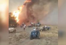 Bursa'da orman yangını