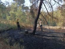 Bursa'da orman yangınları 3'üncü gününde