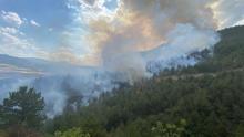 Karabük'te orman yangını