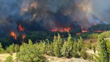 Çanakkale'de orman yangını