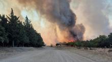 Edirne'de orman yangını