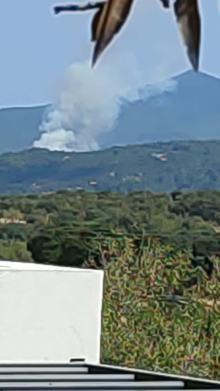 Çanakkale'de orman yangını