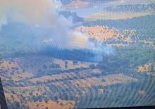 Çanakkale'de orman yangını