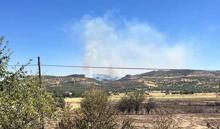 Diyarbakır’da 3 noktada örtü yangını