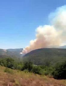 Kocaeli'de orman yangını