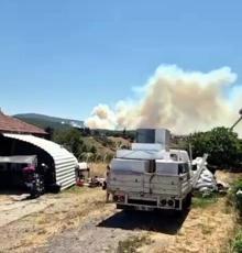 Kocaeli'de orman yangını