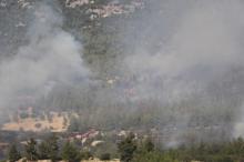 Denizli'de orman yangını