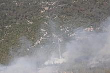 Denizli'de orman yangını