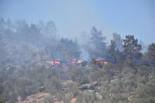 İzmir'de orman yangını