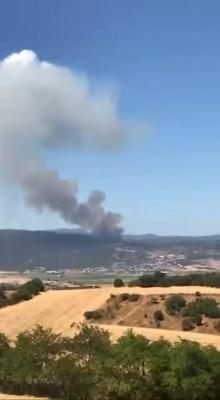 Bursa’da orman yangını