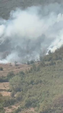 Küre Dağları Milli Parkı'nda çıkan orman yangını kontrol altında