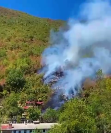 Küre Dağları Milli Parkı'nda çıkan orman yangını kontrol altında