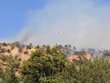 Aydın Efeler'de orman yangını