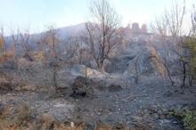 Alanya'daki orman yangınında 2'nci gün