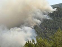 Alanya'daki orman yangınında 3'üncü gün